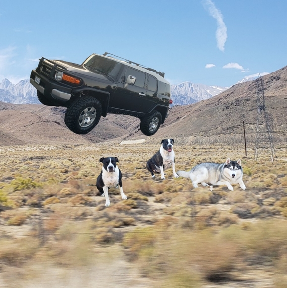 Be Kind, Love Life - Picture 4 of 4